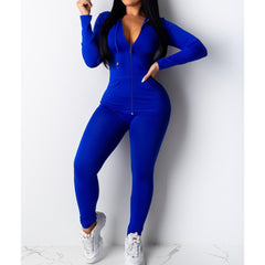 Women's Blue Sultry Chic Casual Solid Color Hooded Pant Set