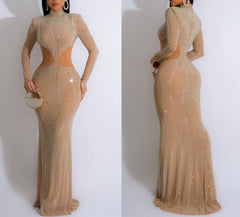 Radiant Jewel Mesh Embellished Dress