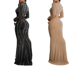 Radiant Jewel Mesh Embellished Dress