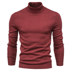 Slim Fit Men's Winter Turtleneck Sweater - Solid Colors