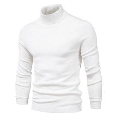Slim Fit Men's Winter Turtleneck Sweater - Solid Colors